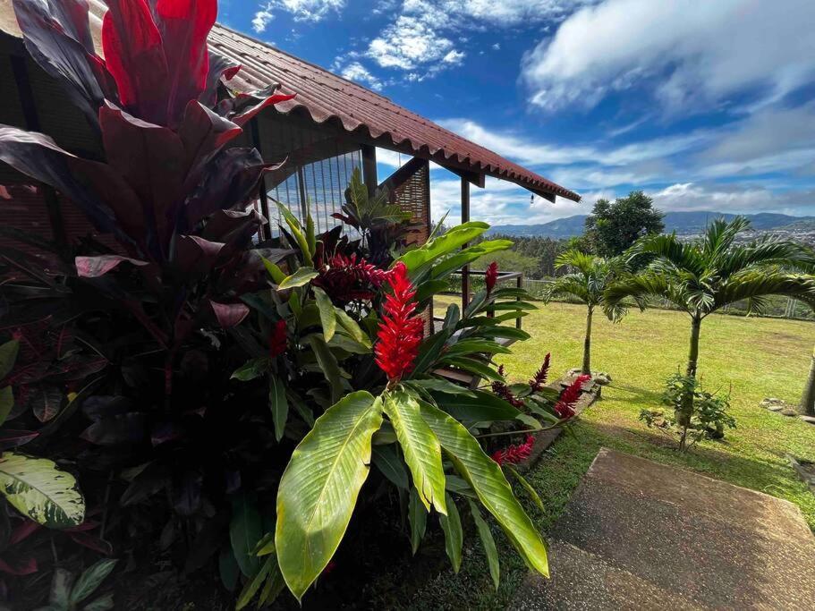 Chalet Zen Bella Vista San Juan  Esterno foto